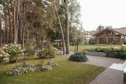 Pušynė