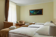 DOMUS HOTEL